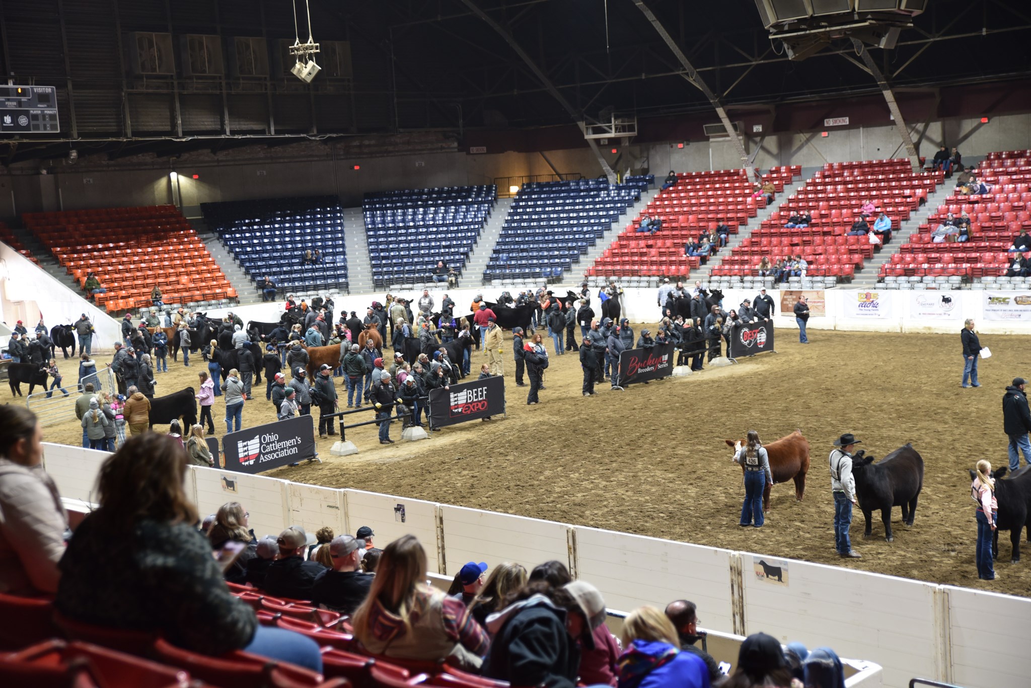 Watch Ohio Beef Expo 2024 Live Stream!